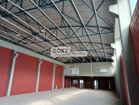Βιομηχανικός χώρος 1.092τ.μ. για πώληση-Εχέδωρος » Σίνδος