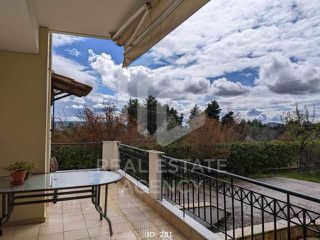 Διαμέρισμα 300 τ.μ. για πώληση, Εύβοια, Δίρφυς-thumb-15