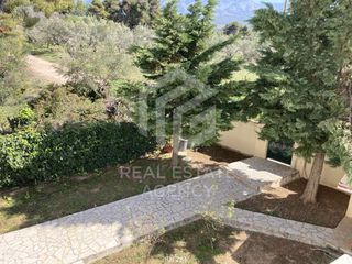 Διαμέρισμα 300 τ.μ. για πώληση, Εύβοια, Δίρφυς-thumb-19