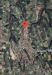 Αγροτεμάχια 11.125 τ.μ. πρός πώληση