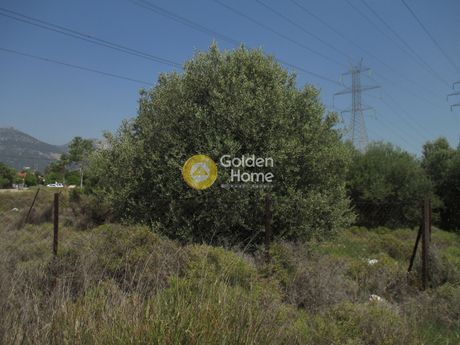 Αγροτεμάχια 428 τ.μ. προς πώληση