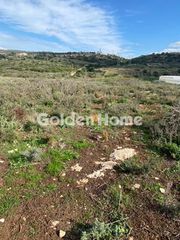 Αγροτεμάχια 63.000 τ.μ. για πώληση