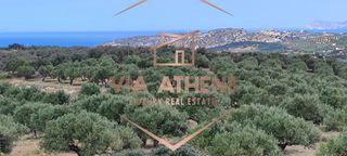 Οικόπεδο 143.000 τ.μ. για πώληση, Ν. Λασιθίου, Σητεία-thumb-15