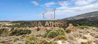 Οικόπεδο 143.000 τ.μ. για πώληση, Ν. Λασιθίου, Σητεία-thumb-5