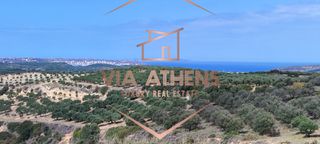 Οικόπεδο 143.000 τ.μ. για πώληση, Ν. Λασιθίου, Σητεία-thumb-2
