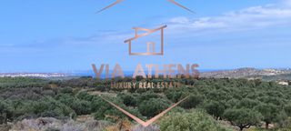 Οικόπεδο 143.000 τ.μ. για πώληση, Ν. Λασιθίου, Σητεία-thumb-20