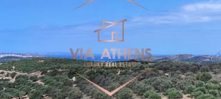 Οικόπεδο 143.000 τ.μ. για πώληση, Ν. Λασιθίου, Σητεία-thumb-12