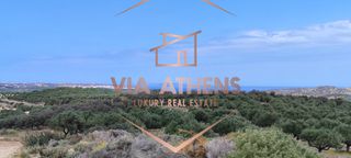 Οικόπεδο 143.000 τ.μ. για πώληση, Ν. Λασιθίου, Σητεία-thumb-4