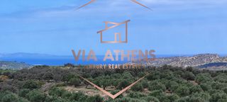 Οικόπεδο 143.000 τ.μ. για πώληση, Ν. Λασιθίου, Σητεία-thumb-17