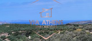 Οικόπεδο 143.000 τ.μ. για πώληση, Ν. Λασιθίου, Σητεία-thumb-10