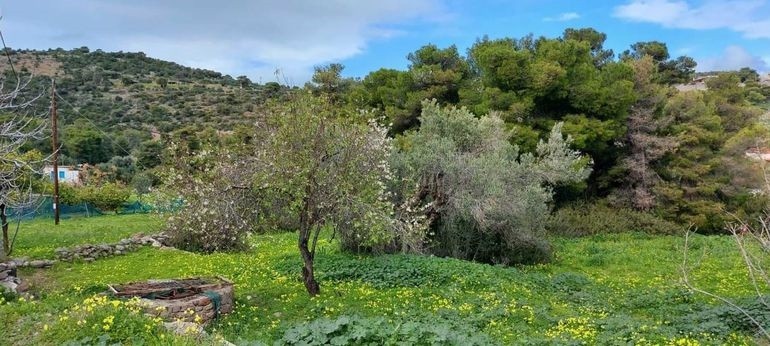 Οικόπεδο 350 τ.μ. πρός πώληση, Νησιά Αργοσαρωνικού, Αίγινα