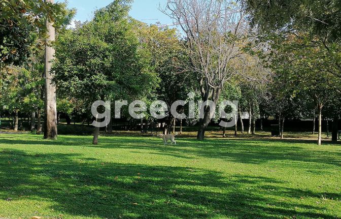 Land plot 605 sqm for sale, Athens - North, Kifisia