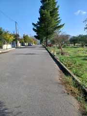 Οικόπεδο 1.270 τ.μ. για πώληση, Μεσσηνία, Δώριο-thumb-3