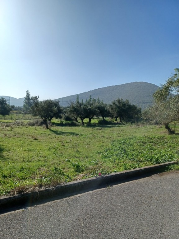 Οικόπεδο 1.270 τ.μ. για πώληση, Μεσσηνία, Δώριο