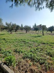Οικόπεδο 1.270 τ.μ. για πώληση, Μεσσηνία, Δώριο-thumb-1