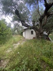 Μονοκατοικία 70 τ.μ. πρός πώληση, Μεσσηνία, Οιχαλία-thumb-6