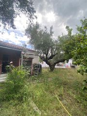 Μονοκατοικία 70 τ.μ. πρός πώληση, Μεσσηνία, Οιχαλία-thumb-28