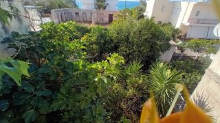 Μονοκατοικία 334 τ.μ. προς πώληση, Κυπαρισσία Μεσσηνίας-thumb-13