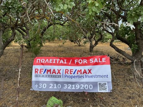 Οικόπεδο 1.421τ.μ. για πώληση-Νέα μάκρη