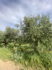 Οικόπεδο 4.045 τ.μ. για πώληση
