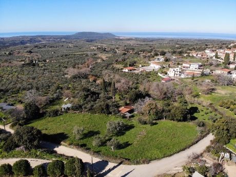 Parcel 6.538sqm for sale-Filiatra