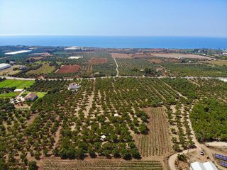Αγροτεμάχια 11.811 τ.μ. για πώληση