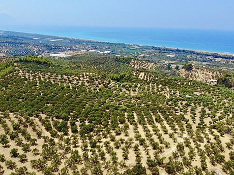 Parcel 5.080sqm for sale-Zacharo