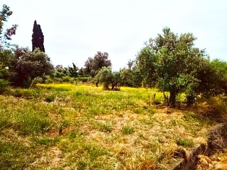 Land plot 3.668sqm for sale-Filiatra