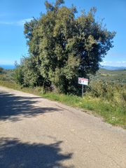 Αγροτεμάχια 7.940 τ.μ. για πώληση, Μεσσηνία, Αυλώνα-thumb-5