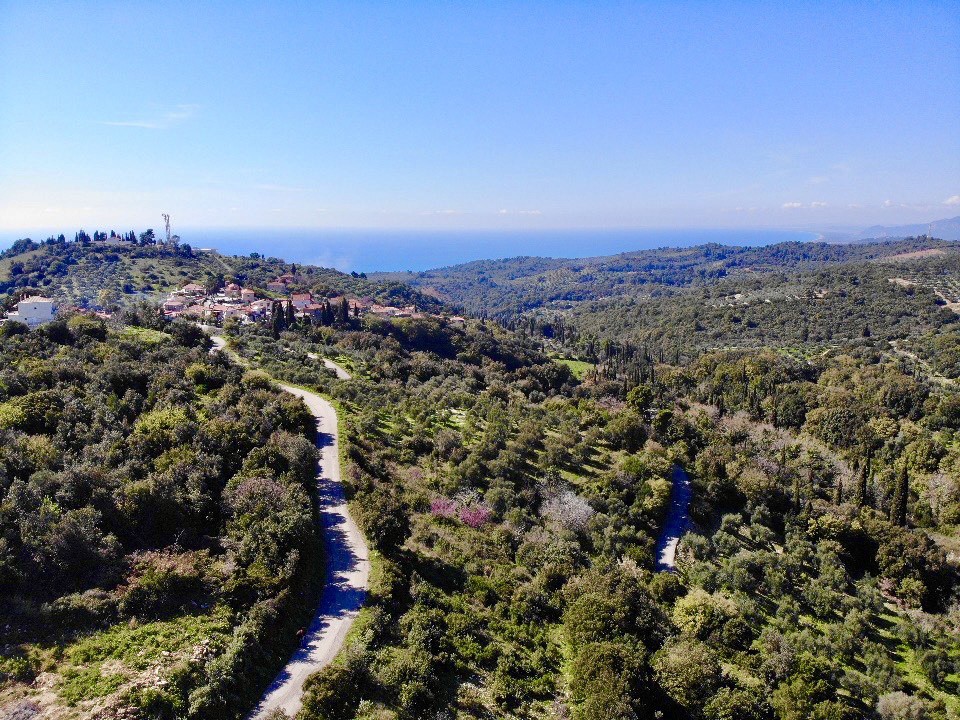 Αγροτεμάχια 7.940 τ.μ. προς πώληση, Μεσσηνία, Αυλώνα