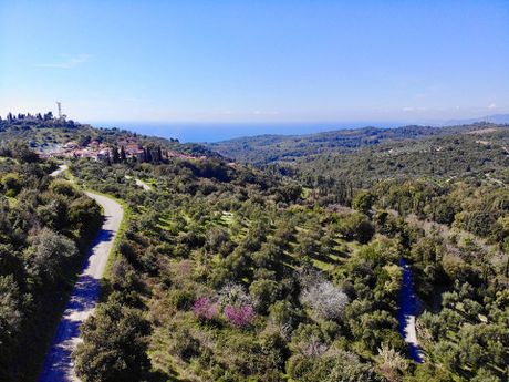 Αγροτεμάχια 7.940τ.μ. για πώληση-Αυλώνα