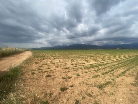 Αγροτεμάχια 34.500τ.μ. για πώληση-Καλαμάτα