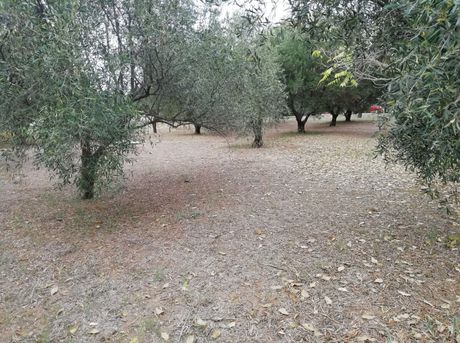 Οικόπεδο 912τ.μ. για πώληση-Κρυονέρι