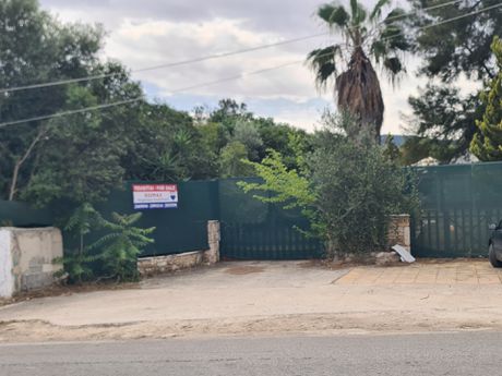 Οικόπεδο 8.200τ.μ. για πώληση-Παλλήνη