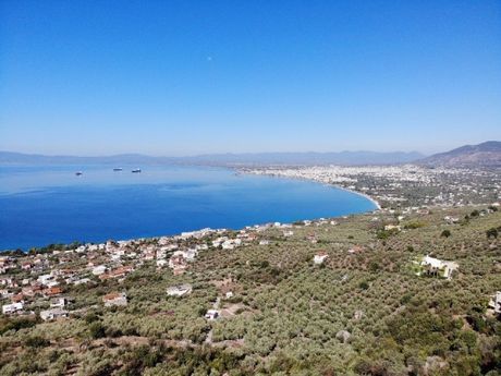 Αγροτεμάχια 1.820τ.μ. για πώληση-Καλαμάτα