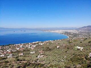 Αγροτεμάχια 1.820 τ.μ. για πώληση
