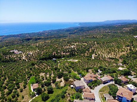 Οικόπεδο 705τ.μ. για πώληση-Πεταλίδι