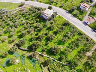 Οικόπεδο 800 τ.μ. για πώληση, Μεσσηνία, Κορώνη-thumb-6