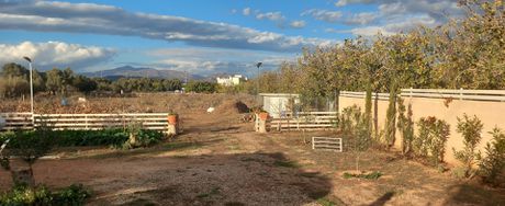 Οικόπεδο 5.000τ.μ. για ενοικίαση-Κορωπί