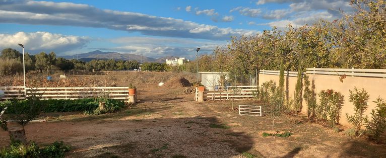 Οικόπεδο 5.000 τ.μ. για ενοικίαση, Αθήνα - Ανατολικά Προάστια, Κορωπί