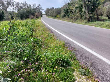 Οικόπεδο 24.433τ.μ. για πώληση-Κέρκυρα