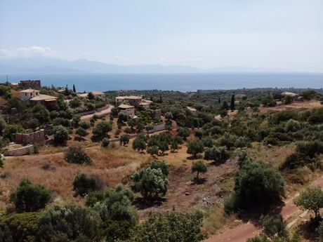 Αγροτεμάχια 1.670,83τ.μ. για πώληση-Πεταλίδι