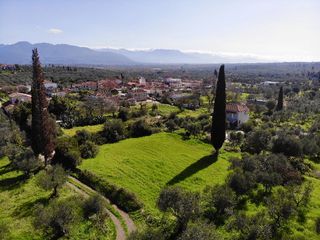 Οικόπεδο 1.355 τ.μ. για πώληση, Μεσσηνία, Ανδρούσα-thumb-3