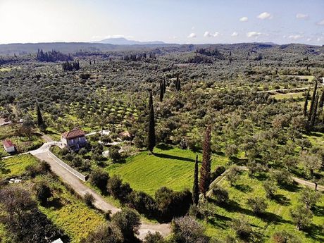 Οικόπεδο 1.355τ.μ. για πώληση-Ανδρούσα