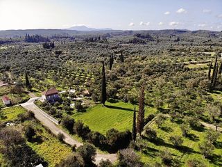 Οικόπεδο 1.355 τ.μ. για πώληση