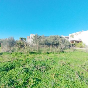Οικόπεδο 409τ.μ. για πώληση-Μεσσήνη