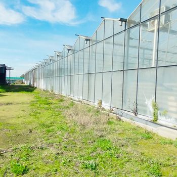 Βιοτεχνικός χώρος 8.000τ.μ. για ενοικίαση-Καλαμάτα