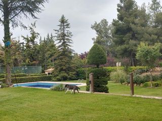 Βίλλα 930 τ.μ. για πώληση