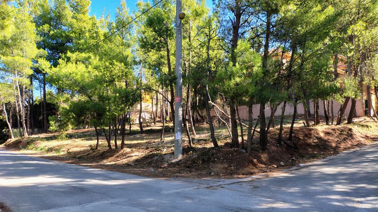 Οικόπεδο 800 τ.μ. για πώληση, Αθήνα - Βόρεια Προάστια, Διόνυσος