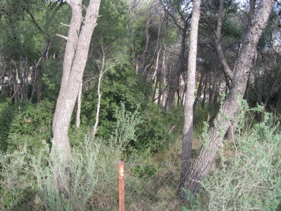 Land plot 1.040 sqm for sale, Athens - West, Acharnes